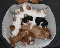 processed/00a6723d-7b29-44a8-9c13-d4fdc32b97cd/facility/983f7782-4d80-4ab2-ab54-1738d9b6a3a7