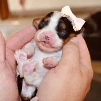 processed/00a6723d-7b29-44a8-9c13-d4fdc32b97cd/facility/e68ae310-557a-4dde-9f55-e29f67684235