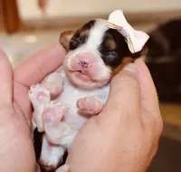 processed/00a6723d-7b29-44a8-9c13-d4fdc32b97cd/facility/e68ae310-557a-4dde-9f55-e29f67684235