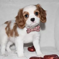 processed/00a6723d-7b29-44a8-9c13-d4fdc32b97cd/facility/f40b1589-69bb-4574-a426-0c557f0c573a