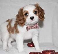 processed/00a6723d-7b29-44a8-9c13-d4fdc32b97cd/facility/f40b1589-69bb-4574-a426-0c557f0c573a