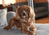 processed/00a6723d-7b29-44a8-9c13-d4fdc32b97cd/listing/061dad33-52c1-4ab3-9b1c-73d630f9ac2b/40199a8e-e6d6-4d16-9ca4-737b96ce9e78