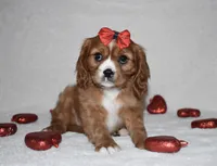 processed/00a6723d-7b29-44a8-9c13-d4fdc32b97cd/listing/061dad33-52c1-4ab3-9b1c-73d630f9ac2b/4b7bf0c5-ccf8-4383-a209-d7c38bc79d85