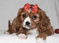 processed/00a6723d-7b29-44a8-9c13-d4fdc32b97cd/listing/061dad33-52c1-4ab3-9b1c-73d630f9ac2b/980fa8ae-21a7-49b1-ab9b-9528b2a5d021