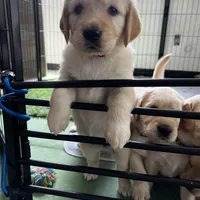 processed/00a86a25-48b5-47c1-863d-2201c9ea079a/facility/0fc24f89-77f7-4915-8bd4-f3e905e60d9d