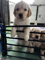 processed/00a86a25-48b5-47c1-863d-2201c9ea079a/facility/0fc24f89-77f7-4915-8bd4-f3e905e60d9d