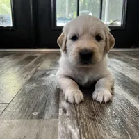 processed/00a86a25-48b5-47c1-863d-2201c9ea079a/facility/36160e38-15fd-42dc-a3d2-272ba989a3d3