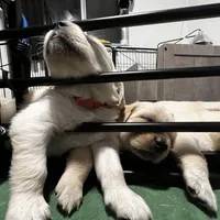 processed/00a86a25-48b5-47c1-863d-2201c9ea079a/facility/62512c80-e54b-440e-a872-86d412906b0c