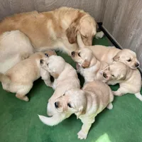 processed/00a86a25-48b5-47c1-863d-2201c9ea079a/facility/a01a3d78-a39c-4203-ad6b-d08f36e61fd7