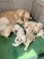 processed/00a86a25-48b5-47c1-863d-2201c9ea079a/facility/a01a3d78-a39c-4203-ad6b-d08f36e61fd7