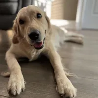 processed/00a86a25-48b5-47c1-863d-2201c9ea079a/facility/a2b20014-54e3-4f2b-895e-e8bf582184ad