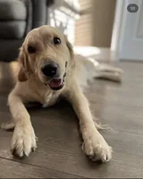 processed/00a86a25-48b5-47c1-863d-2201c9ea079a/facility/a2b20014-54e3-4f2b-895e-e8bf582184ad