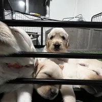 processed/00a86a25-48b5-47c1-863d-2201c9ea079a/facility/a33ad7e1-b382-4df1-bc1c-4c3c493fefcf