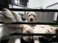 processed/00a86a25-48b5-47c1-863d-2201c9ea079a/facility/a33ad7e1-b382-4df1-bc1c-4c3c493fefcf