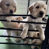 processed/00a86a25-48b5-47c1-863d-2201c9ea079a/facility/f06bb369-07e6-402c-ab78-308cc9b51d8d