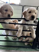 processed/00a86a25-48b5-47c1-863d-2201c9ea079a/facility/f06bb369-07e6-402c-ab78-308cc9b51d8d