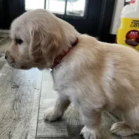 processed/00a86a25-48b5-47c1-863d-2201c9ea079a/facility/f91bb6be-a980-4cf7-a284-0ecf1f332766