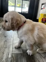 processed/00a86a25-48b5-47c1-863d-2201c9ea079a/facility/f91bb6be-a980-4cf7-a284-0ecf1f332766