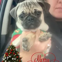 processed/00b60838-3001-46a7-a649-eb00bf913b59/facility/0ae0f137-8afa-4557-a1a9-0ed7a64d4420