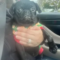 processed/00b60838-3001-46a7-a649-eb00bf913b59/facility/4a938310-137b-443e-8553-e504fe32abb3