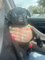 processed/00b60838-3001-46a7-a649-eb00bf913b59/facility/4a938310-137b-443e-8553-e504fe32abb3