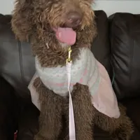 processed/00b60838-3001-46a7-a649-eb00bf913b59/facility/7742fbed-b544-464e-b76f-223f9526d74b