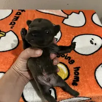 processed/00b60838-3001-46a7-a649-eb00bf913b59/facility/8e7fb025-017d-4f4f-83b3-678da69377fa