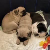 processed/00b60838-3001-46a7-a649-eb00bf913b59/facility/8ea93f60-9467-4523-af31-120151cf8301