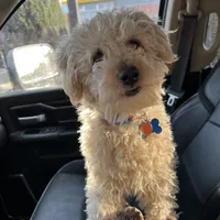 processed/00b60838-3001-46a7-a649-eb00bf913b59/facility/b0db7da9-d35d-4d59-8121-37ae9f3ac1c4