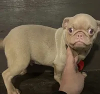 processed/00b60838-3001-46a7-a649-eb00bf913b59/listing/c6905dab-3bda-4c5f-b9f3-a04c3193038d/42f42db7-e9a1-4ad7-b7f7-30ff3f7ec215