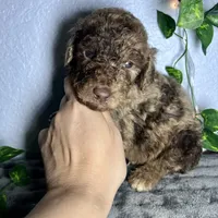 processed/00b60838-3001-46a7-a649-eb00bf913b59/listing/ddb67e47-68d0-40b3-9676-e34a4fd7d0eb/2771aca0-2348-4f93-a48c-978572621264