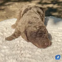 processed/00b60838-3001-46a7-a649-eb00bf913b59/listing/ddb67e47-68d0-40b3-9676-e34a4fd7d0eb/4b1400cf-a9ce-47a9-9dd1-ec87e9eef002