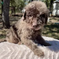 processed/00b60838-3001-46a7-a649-eb00bf913b59/listing/ddb67e47-68d0-40b3-9676-e34a4fd7d0eb/9310c792-8428-410b-b04b-5f22aa5e675b