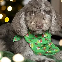 processed/00b60838-3001-46a7-a649-eb00bf913b59/listing/ddb67e47-68d0-40b3-9676-e34a4fd7d0eb/e298d090-4dc5-4d58-be18-07397aba44b3