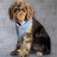 processed/00b60838-3001-46a7-a649-eb00bf913b59/listing/ddb67e47-68d0-40b3-9676-e34a4fd7d0eb/eaef1e38-f18b-4921-85e7-441043cbdb4e