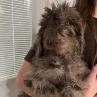 processed/00b60838-3001-46a7-a649-eb00bf913b59/listing/ddb67e47-68d0-40b3-9676-e34a4fd7d0eb/ef9d9c1c-f6ba-442d-8bad-8ac7978cfb98