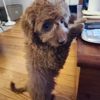 processed/00c93031-bb2e-476b-859d-81cfdf525fe6/facility/1c24c669-8bce-4bc1-8d9d-6e9516d20b2d