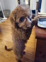 processed/00c93031-bb2e-476b-859d-81cfdf525fe6/facility/1c24c669-8bce-4bc1-8d9d-6e9516d20b2d