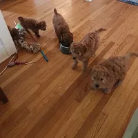 processed/00c93031-bb2e-476b-859d-81cfdf525fe6/facility/25fcc4b6-1f1d-479b-b690-54e06e268acb