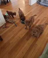 processed/00c93031-bb2e-476b-859d-81cfdf525fe6/facility/25fcc4b6-1f1d-479b-b690-54e06e268acb