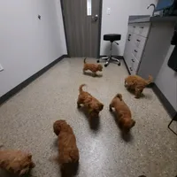 processed/00c93031-bb2e-476b-859d-81cfdf525fe6/facility/32e4bfb4-24c7-4253-932f-d779261aae54