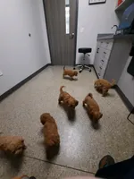 processed/00c93031-bb2e-476b-859d-81cfdf525fe6/facility/32e4bfb4-24c7-4253-932f-d779261aae54