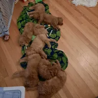 processed/00c93031-bb2e-476b-859d-81cfdf525fe6/facility/533a5d04-a64d-4b0f-b897-f9399bb4dfe8