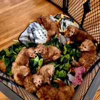 processed/00c93031-bb2e-476b-859d-81cfdf525fe6/facility/5995d4ba-995d-4aec-bc0f-e9c96ce79010