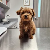 processed/00c93031-bb2e-476b-859d-81cfdf525fe6/facility/85faf383-889e-4e61-b6cd-80f0574982a4