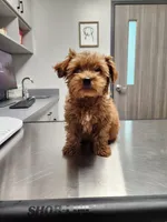 processed/00c93031-bb2e-476b-859d-81cfdf525fe6/facility/85faf383-889e-4e61-b6cd-80f0574982a4