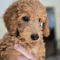 processed/00c93031-bb2e-476b-859d-81cfdf525fe6/facility/9a4775ed-397e-4ee9-892a-0f57d2a2f9de