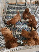 processed/00c93031-bb2e-476b-859d-81cfdf525fe6/facility/c143f962-d840-4f42-b6d1-260d8fcec3e9