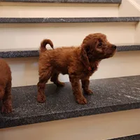 processed/00c93031-bb2e-476b-859d-81cfdf525fe6/facility/e0a30b7a-a95f-4e98-a277-4138ce5859d1