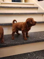 processed/00c93031-bb2e-476b-859d-81cfdf525fe6/facility/e0a30b7a-a95f-4e98-a277-4138ce5859d1